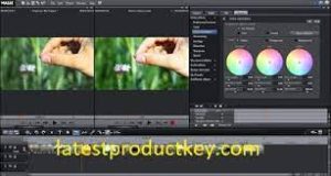 Neat Video Crack Product Number Download