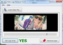 Easy Video Logo Remover Crack With Product number